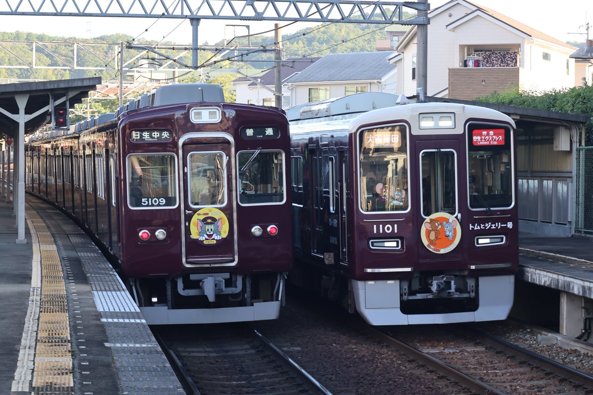 トムとジェリー号】のせでん沿線で「トムとジェリー号」にはどうやって