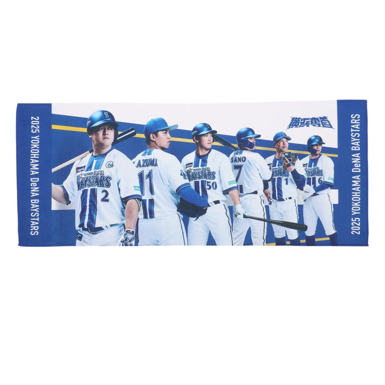 BABYL VIPパス&タオル WORLD TOUR 2016 EU BABYL VIPパス&タオル WORLD