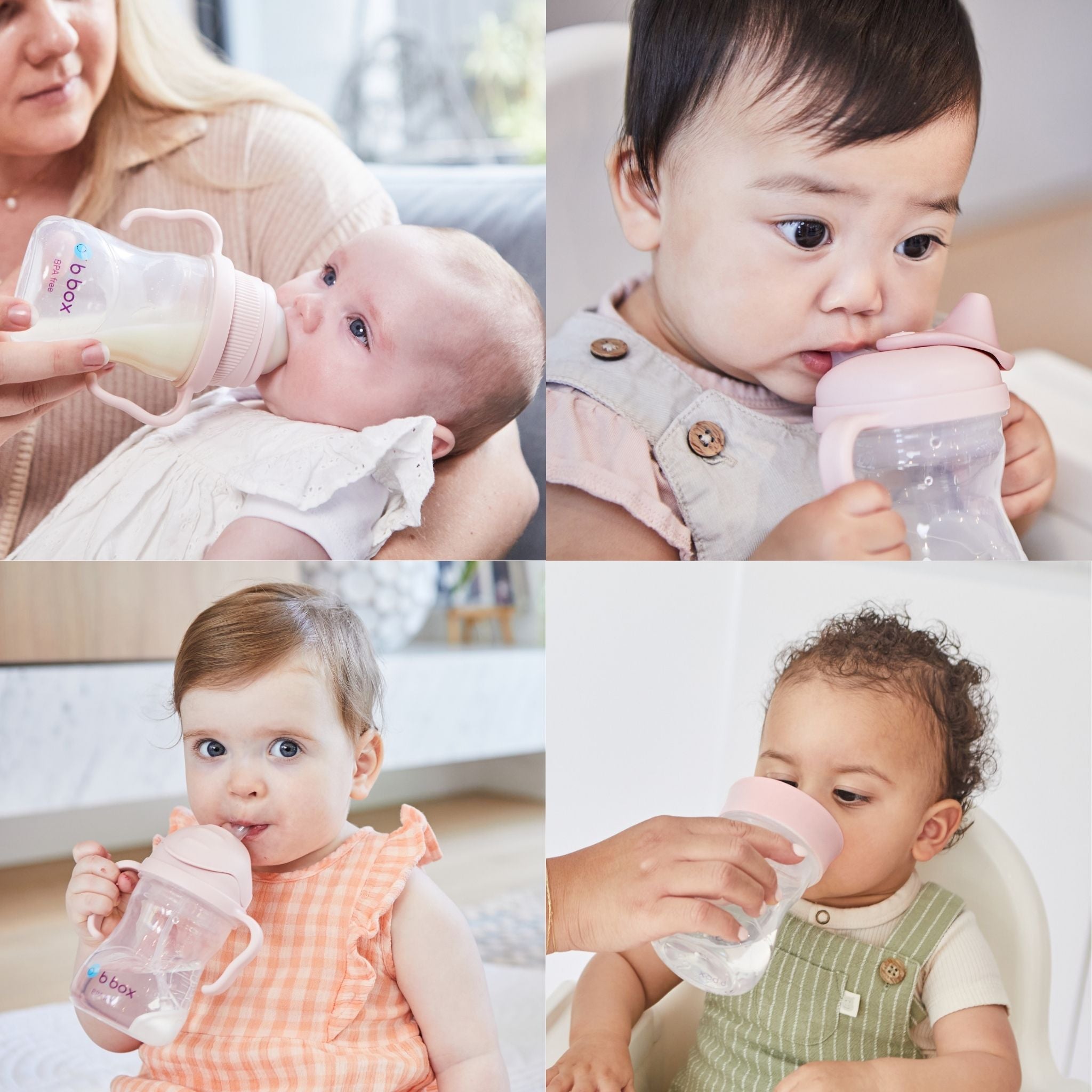 ステップアップマグパック（ドリンクトレーニング マグセット