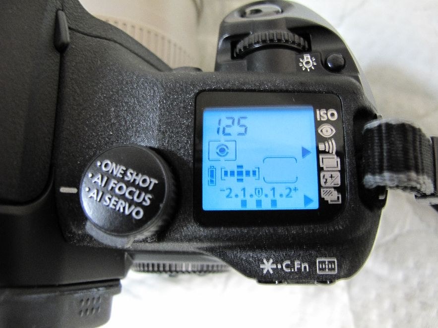 EOS ELAN7Nを買いました（米向け EOS7s）』 CANON EOS 7s ボディ