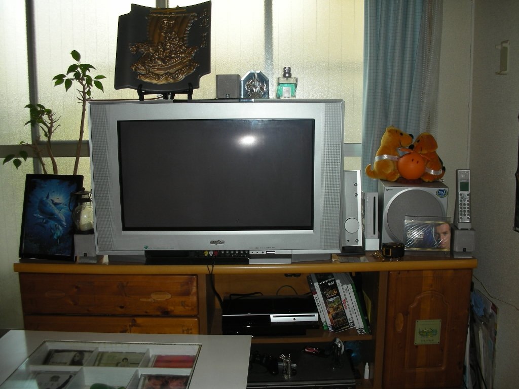 ついに！！納品！！』 パナソニック VIERA TH-P46G1 [46インチ] の