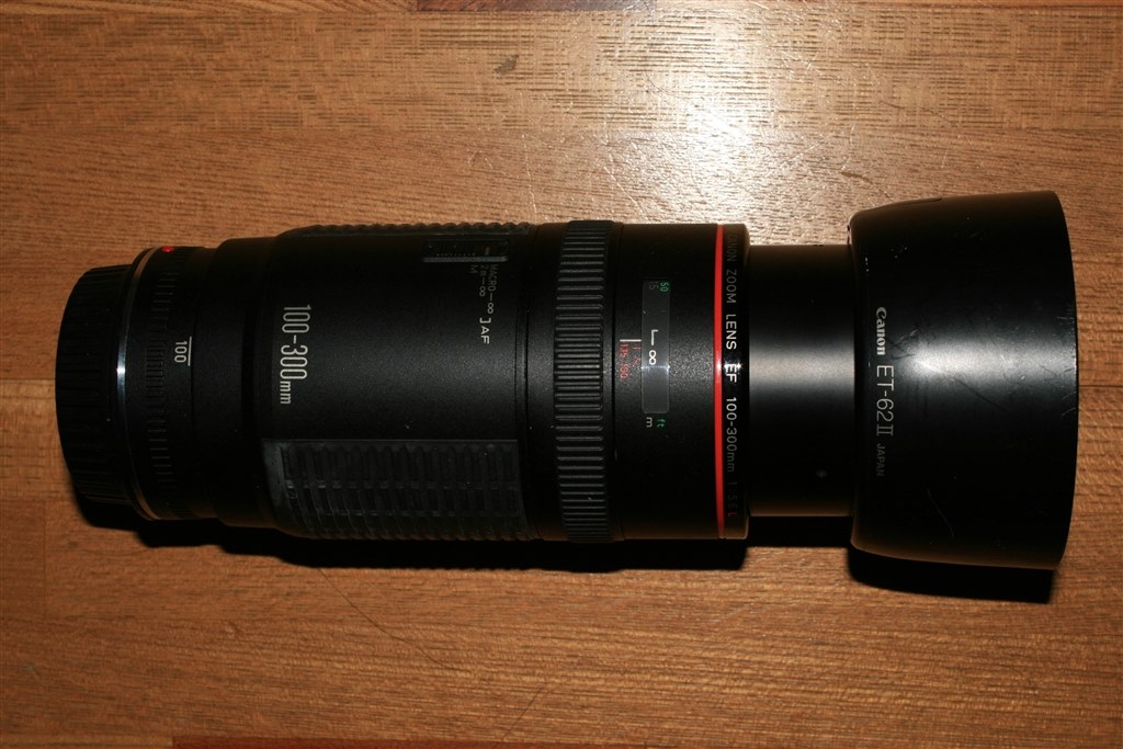 望遠レンズ 大切な記録を望遠で Canon キヤノン EF100-300mm 望遠