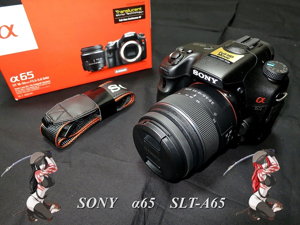 ❣️美品❣️SONY α65 ダブルレンズセット 初心者おすすめ ソニー 一眼