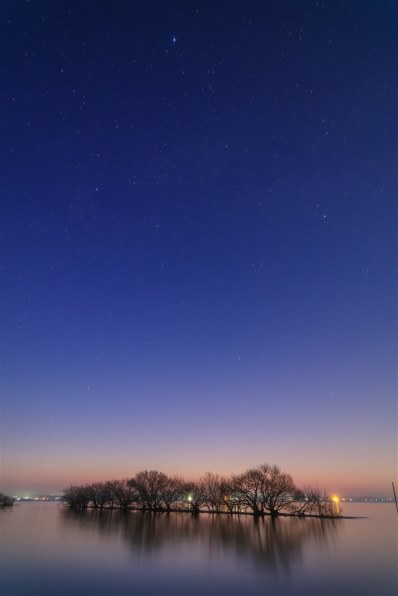 ニコン AF-S DX Zoom-Nikkor 12-24mm f/4G IF-EDで撮影された写真