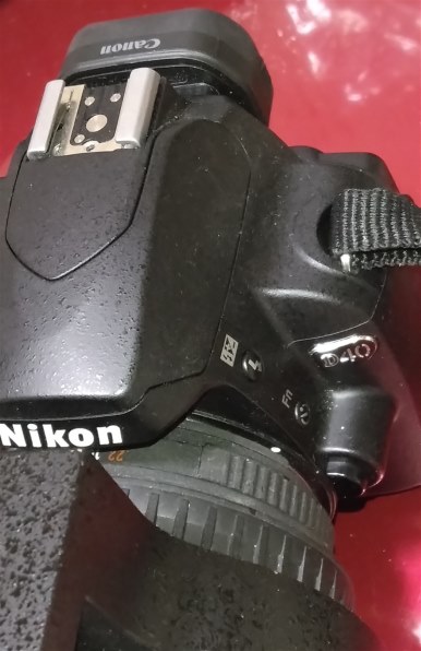 ニコン D40 ダブルズームキットII投稿画像・動画 - 価格.com