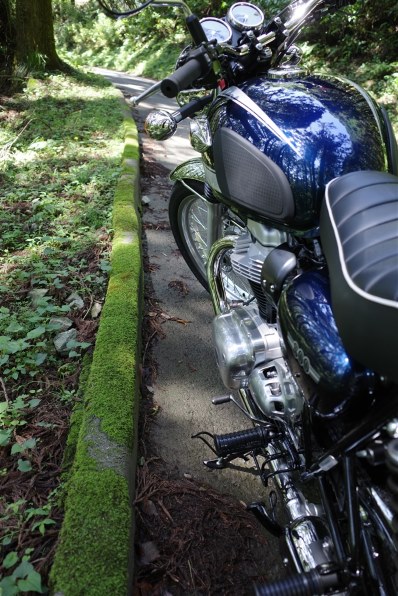 SONY α6000 ILCE-6000 ボディ [グラファイトグレー]投稿画像・動画