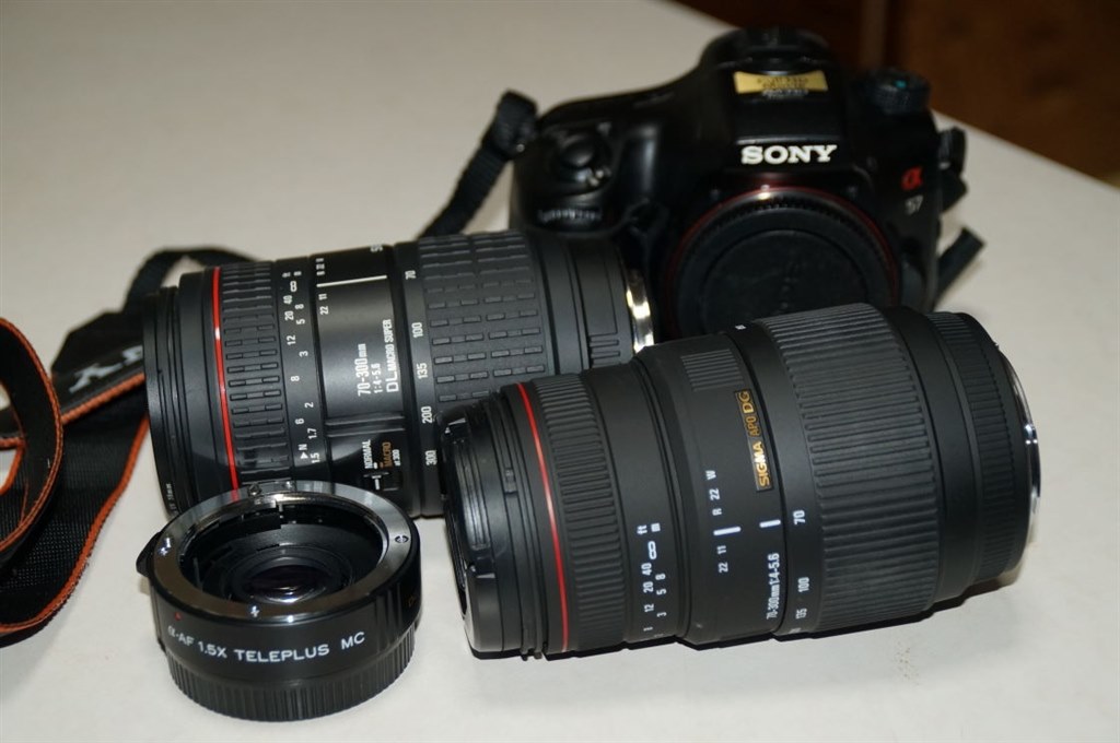 こんなことありますか』 シグマ APO 70-300mm F4-5.6 DG MACRO (ﾐﾉﾙﾀ