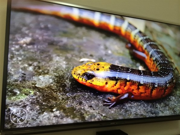 シャープ AQUOS クアトロン プロ LC-46XL10 [46インチ]投稿画像・動画