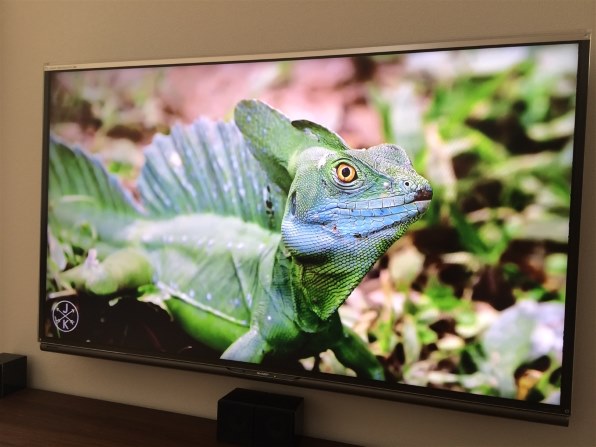 シャープ AQUOS クアトロン プロ LC-60XL10 [60インチ]投稿画像・動画