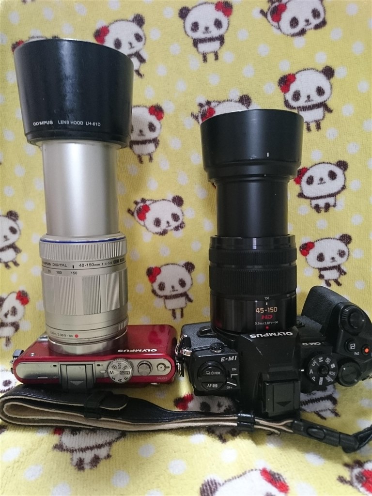 望遠レンズ』 オリンパス OLYMPUS PEN Lite E-PL2 ダブルズームキット