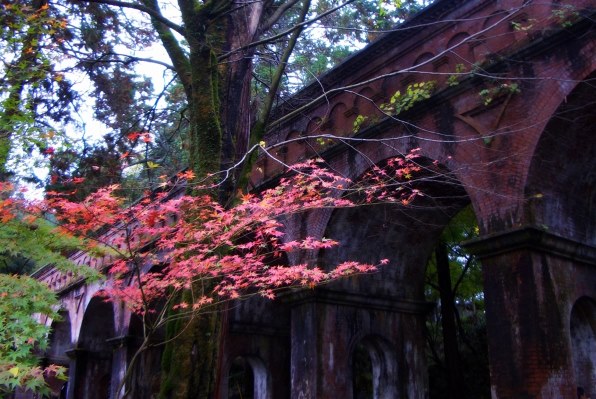 カシオ EXILIM ZOOM EX-Z57で撮影された写真 - 価格.com