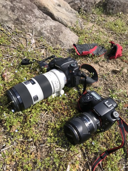 TAMRON 28-300mm F/3.5-6.3 Di PZD (Model A010) [ソニー用] 価格比較