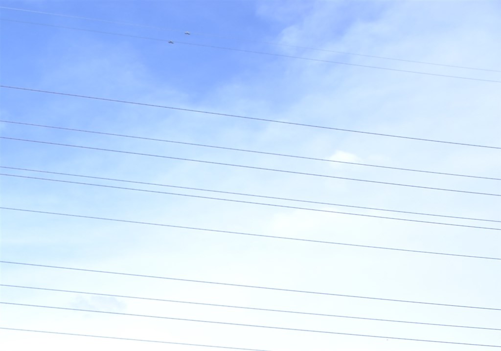 私じゃ取れないイメージセンサーのゴミ』 ニコン D700 ボディ の