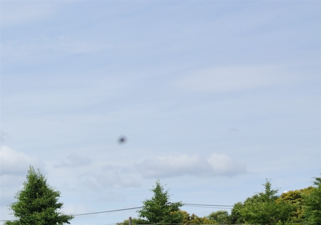 私じゃ取れないイメージセンサーのゴミ』 ニコン D700 ボディ の