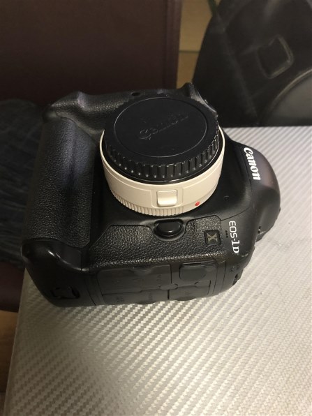 CANON EOS-1Ds Mark II ボディ投稿画像・動画 - 価格.com