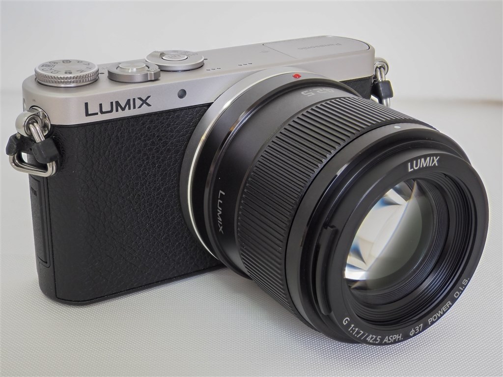 中望遠スナップに最適なGM1』 パナソニック LUMIX DMC-GM1K レンズ
