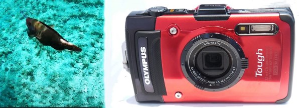 オリンパス OLYMPUS STYLUS TG-2 Tough投稿画像・動画 - 価格.com