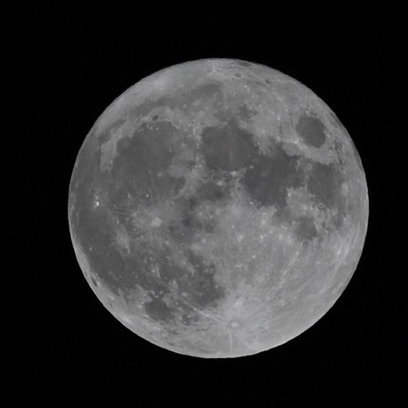 ニコン AI AF-S Nikkor 300mm f/4D IF-ED [ライトグレー]で撮影された