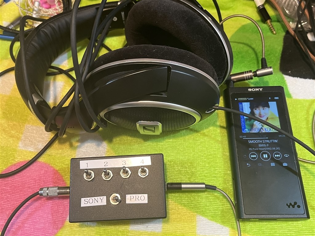 SENNHEISER HD 599 SE はバランス対応』 ゼンハイザー HD 599 SE の