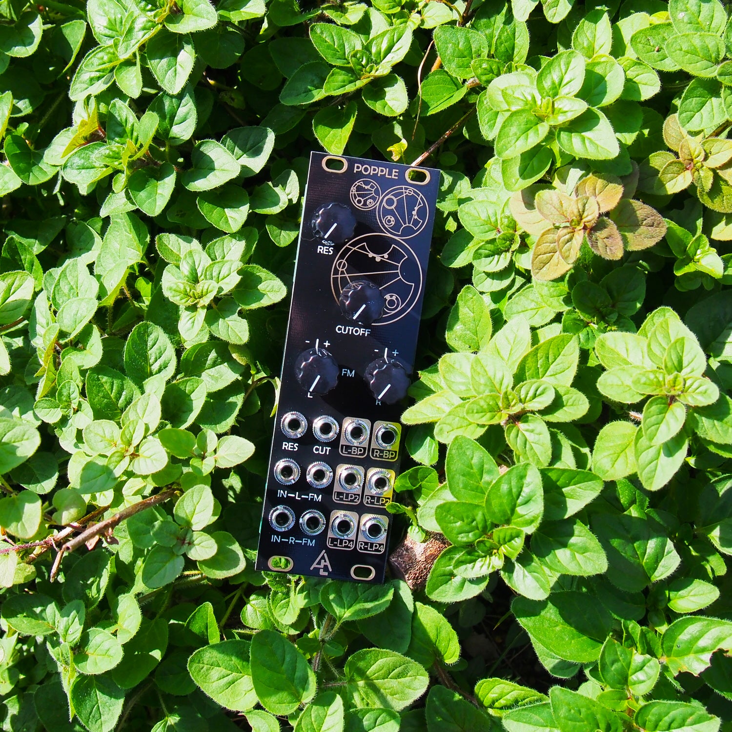 POPPLE – beatsville