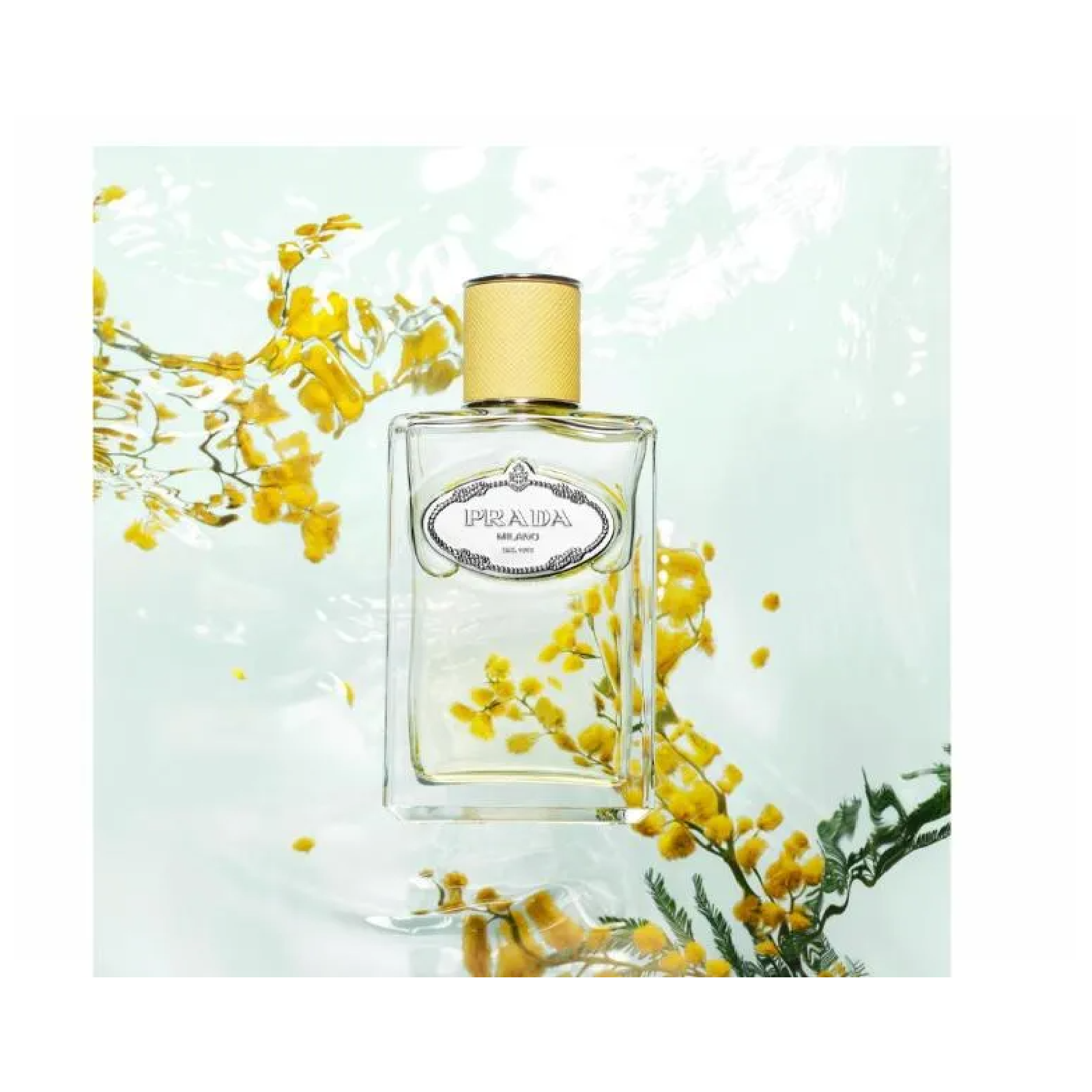 Prada Milano Les Infusions Mimosa Eau de Parfum - Fresh & Elegant