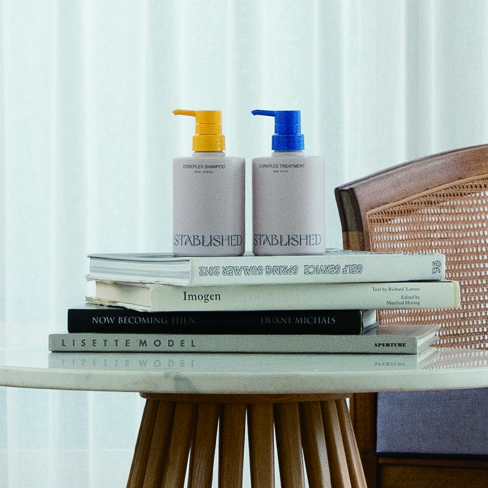 ESTABLISHED コアプレックス トリートメント400g