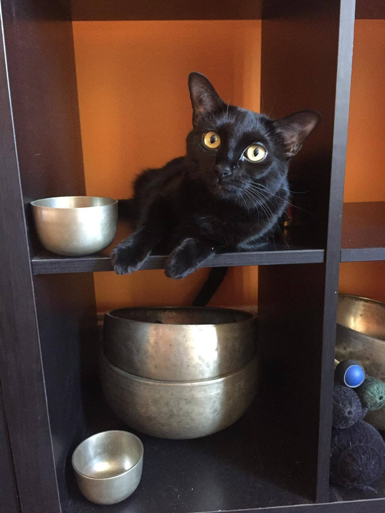 マッサージセラピーに最適なシンギングボウルはどれですか | サウンド