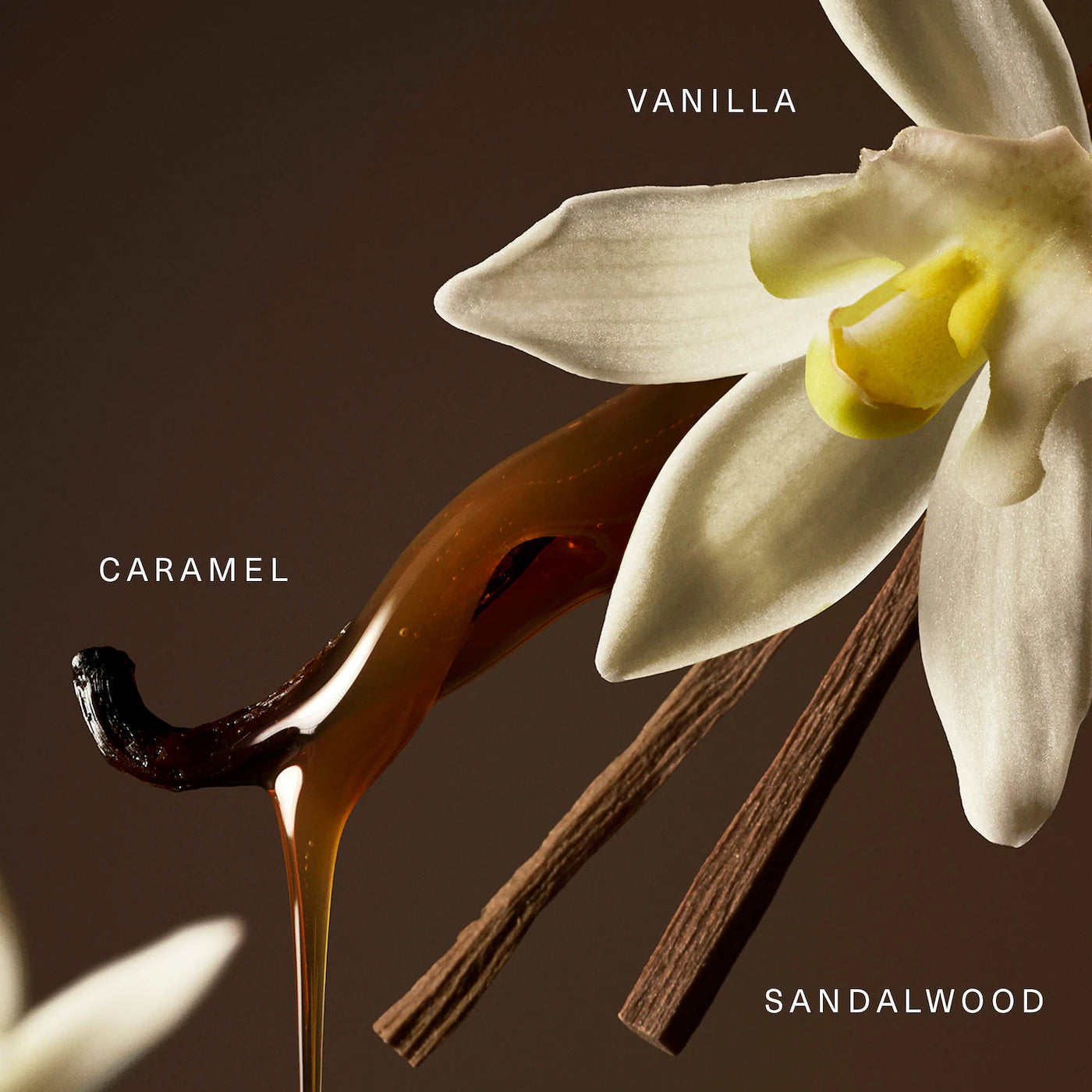 Rare Beauty Perfume In Japan – Besti Beauty