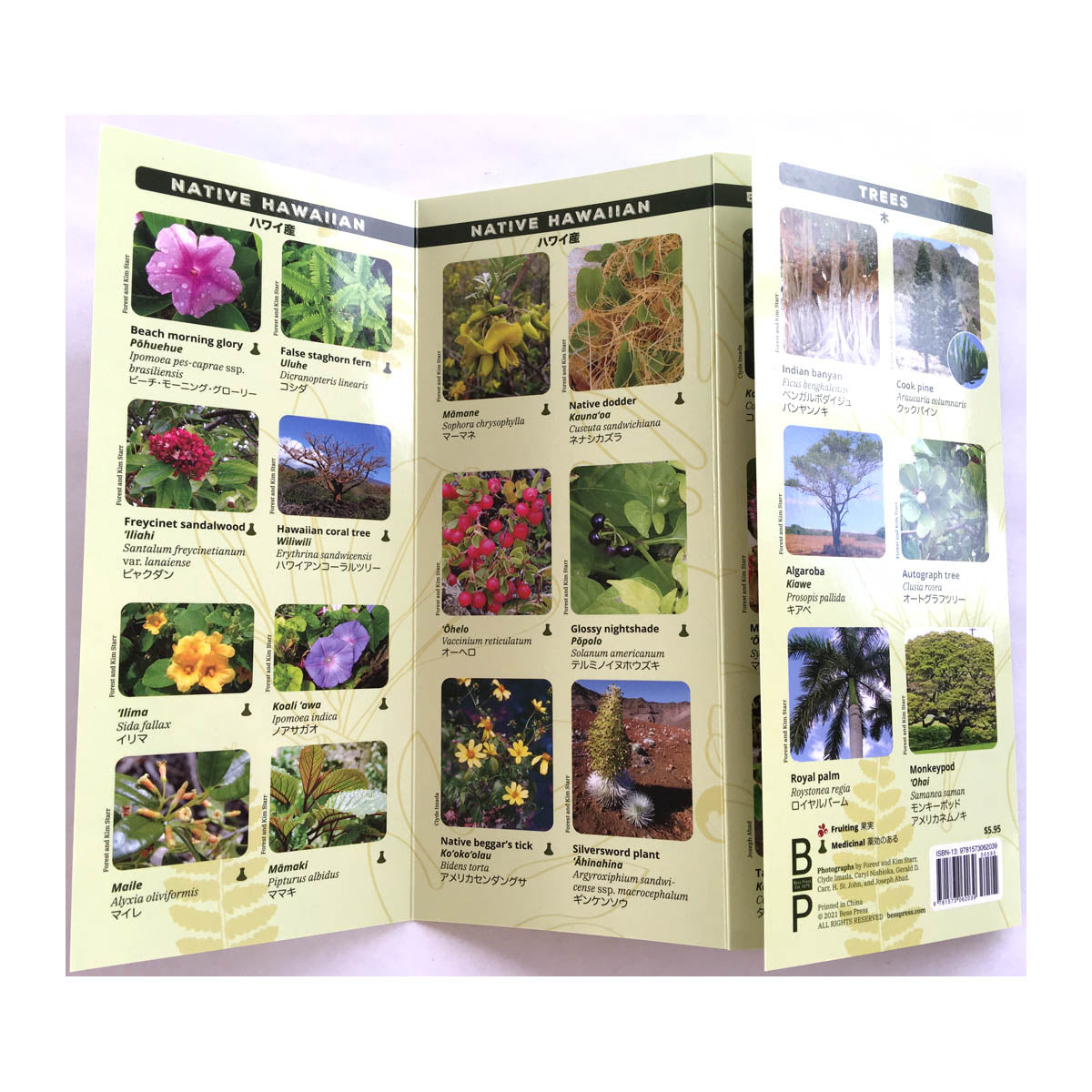 Plants of Hawaiʻi – Bess Press