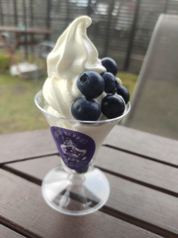 ベリーズパーク郡山｜福島県郡山市のブルーベリー狩り、摘み取り