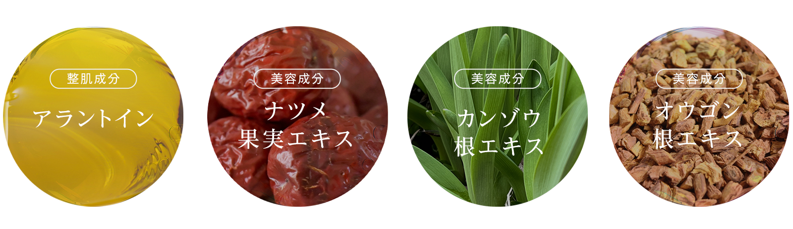 1秒吹きかけるだけの、美肌記憶ケア。PROTONAID SOLUTION（プロトン