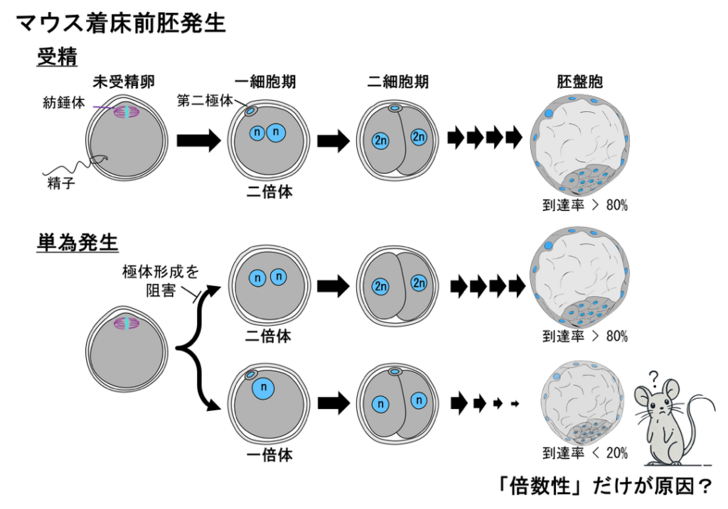 生命環境科学系 - 東京大学大学院総合文化研究科広域科学専攻 | 生命