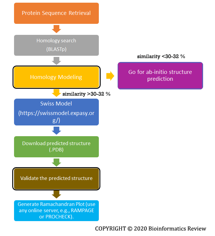 Methodology for Homology Modeling of a Simple Protein