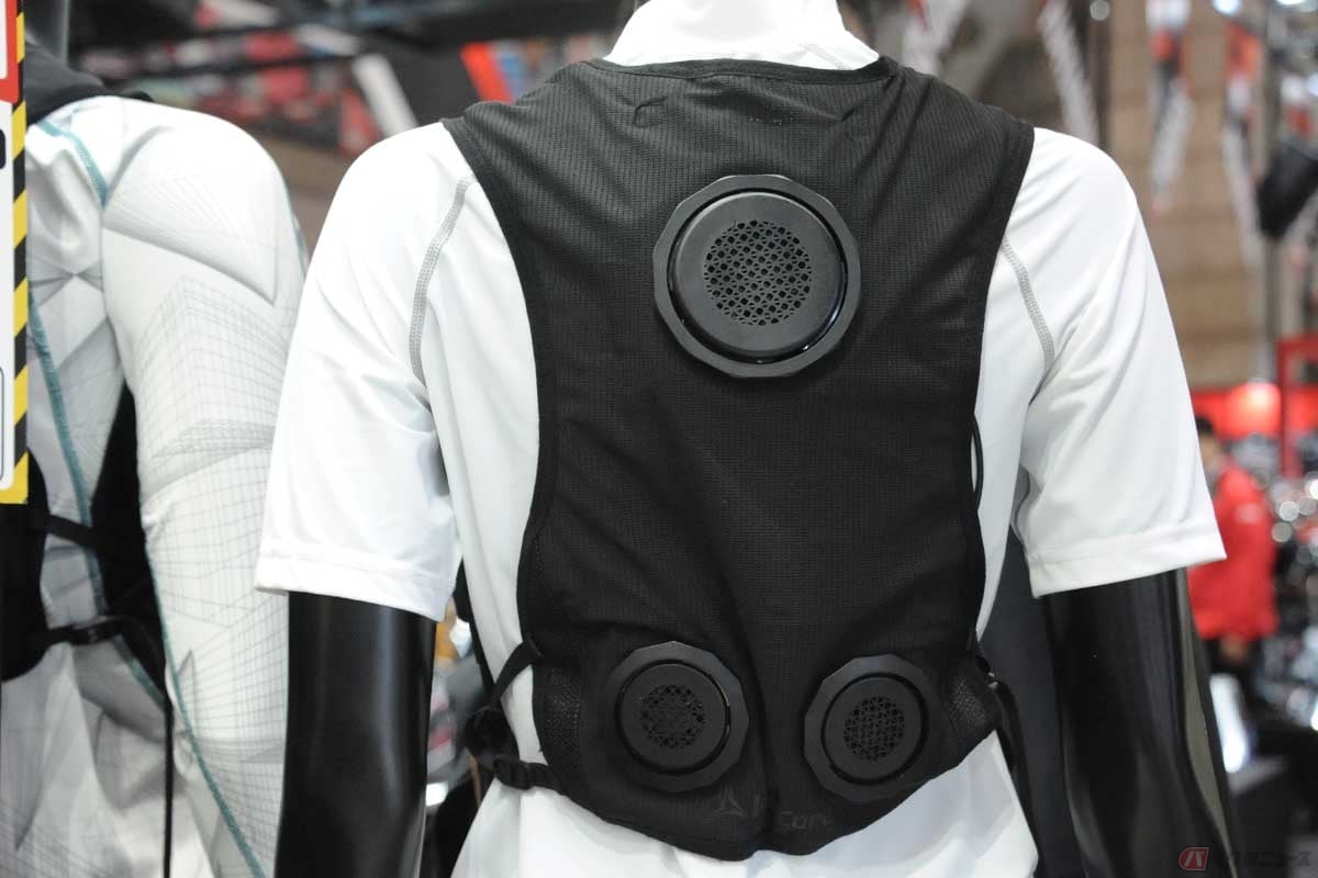 ワークマン ペルチェベスト Pro2 2025年モデル ICE＆HEAT ワークマン