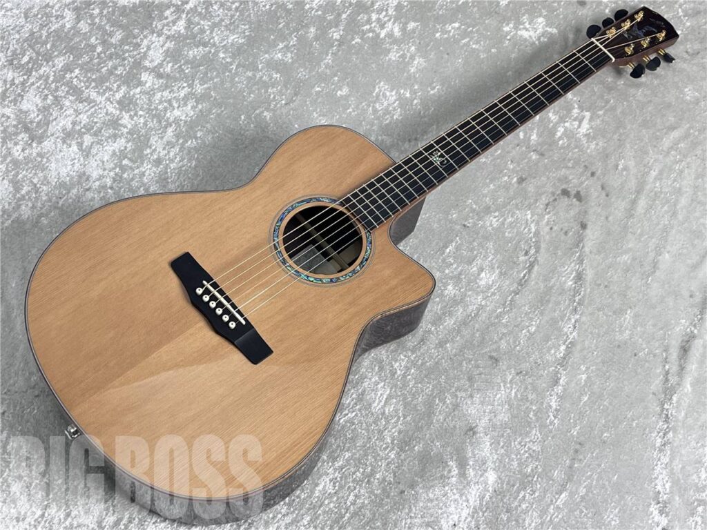 Morris Acoustic guitar 特集 = Made in Japan / Hand Made Premium