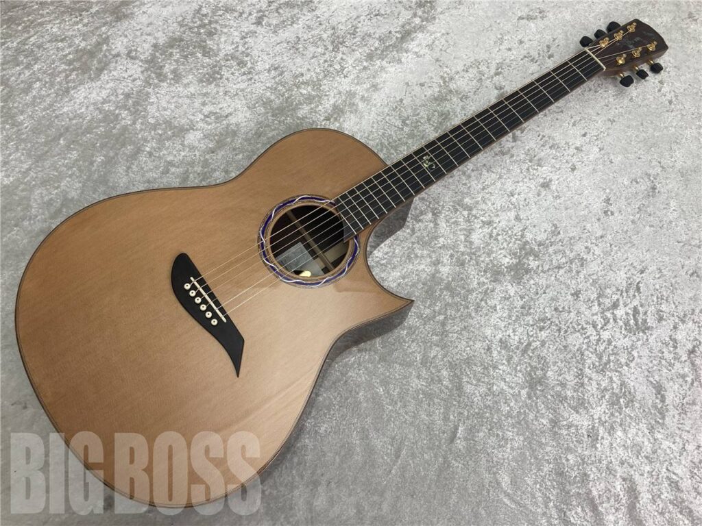 Morris Acoustic guitar 特集 = Made in Japan / Hand Made Premium