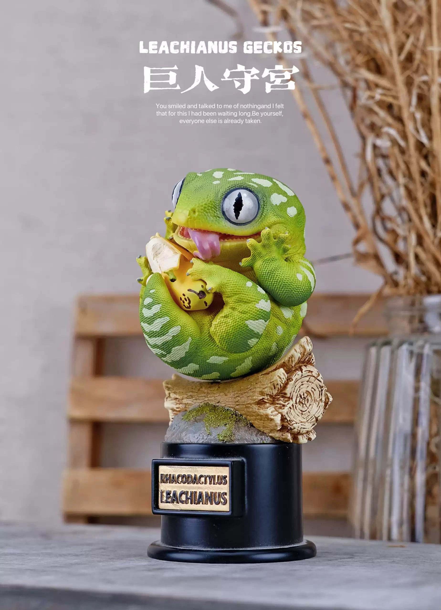 博物志 ヤモリ フィギュア 14-20CM級 爬虫プラモデル – BINGNICK