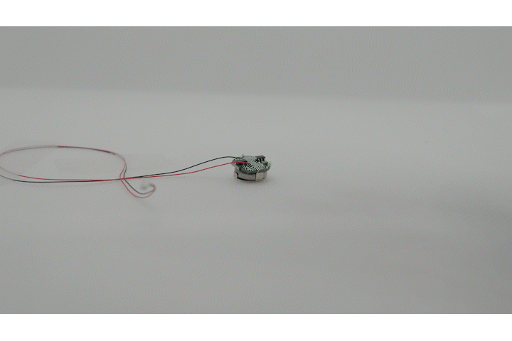 MMGLW2 磁気スイッチ付LEDモジュール2灯リード線仕様 — ビット