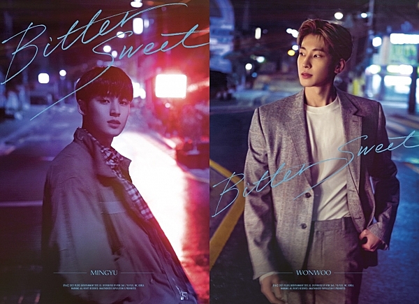 SEVENTEEN Bittersweet セブチ ミンギュ ソロコンプ SEVENTEEN