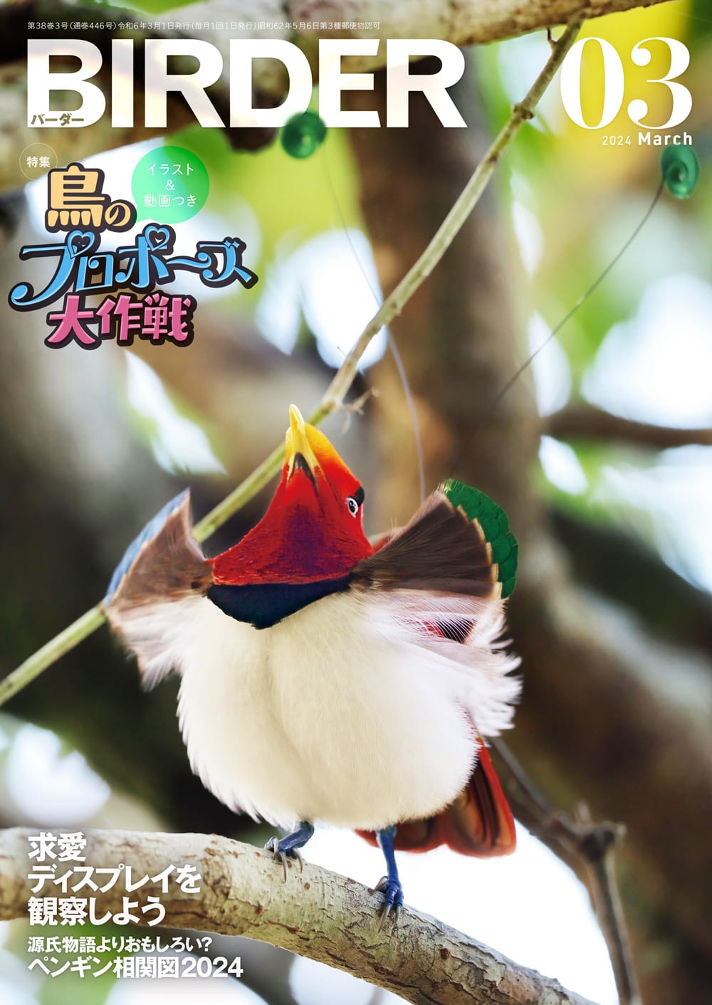 BIRDER（バーダー） 2024年3月号