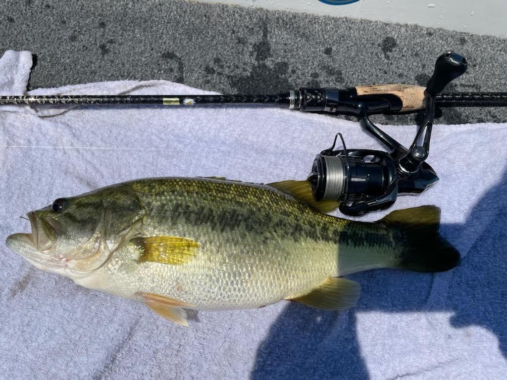 エバーグリーン ／ファクトHFAS-65ULSTをインプレ | 琵琶湖バスライフ