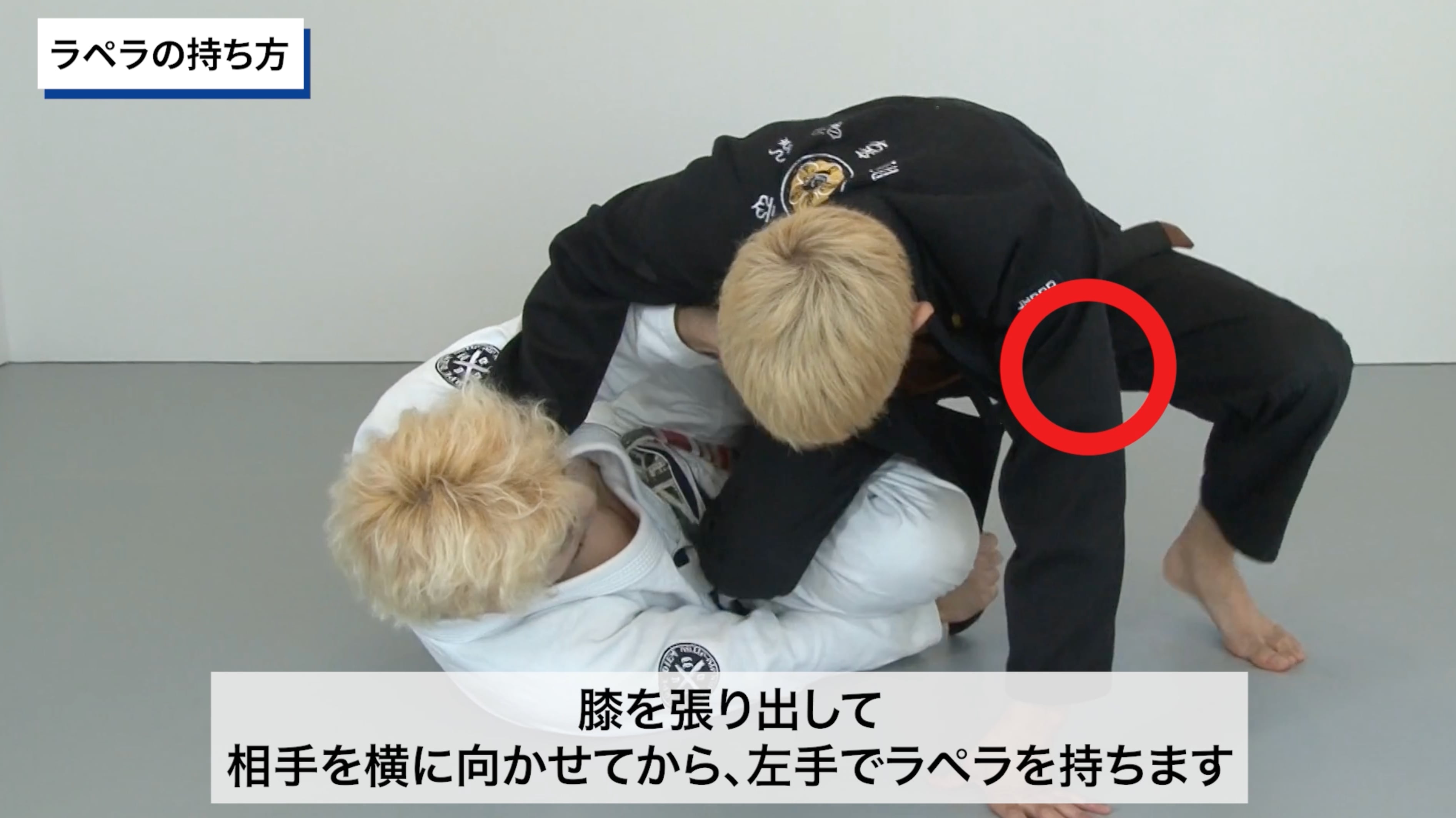 BJJ LAB】【セット販売】『ハーフガードの原理原則』＋『ディープ