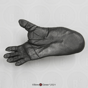 Bigfoot Pair of Footprints, Impressions and Reconstructions by Dr