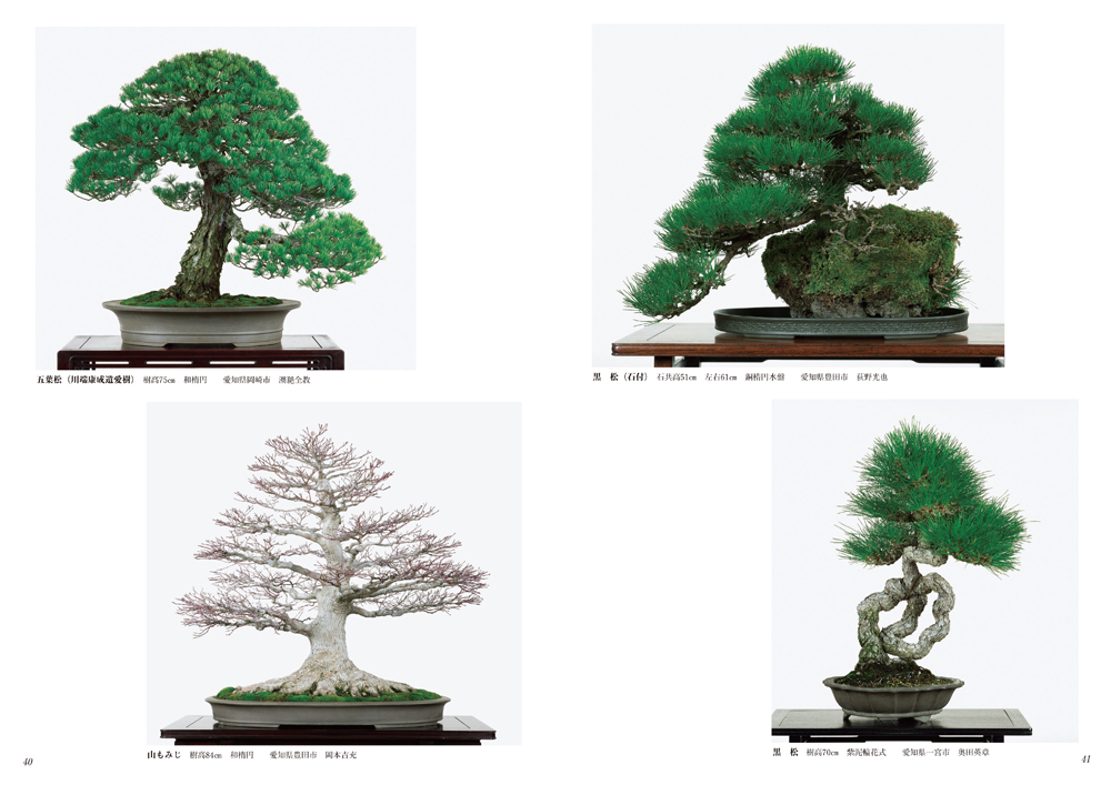 第90回 銘風盆栽展 記念帖 | 盆栽、盆栽書籍、盆栽鉢の通販│近代出版