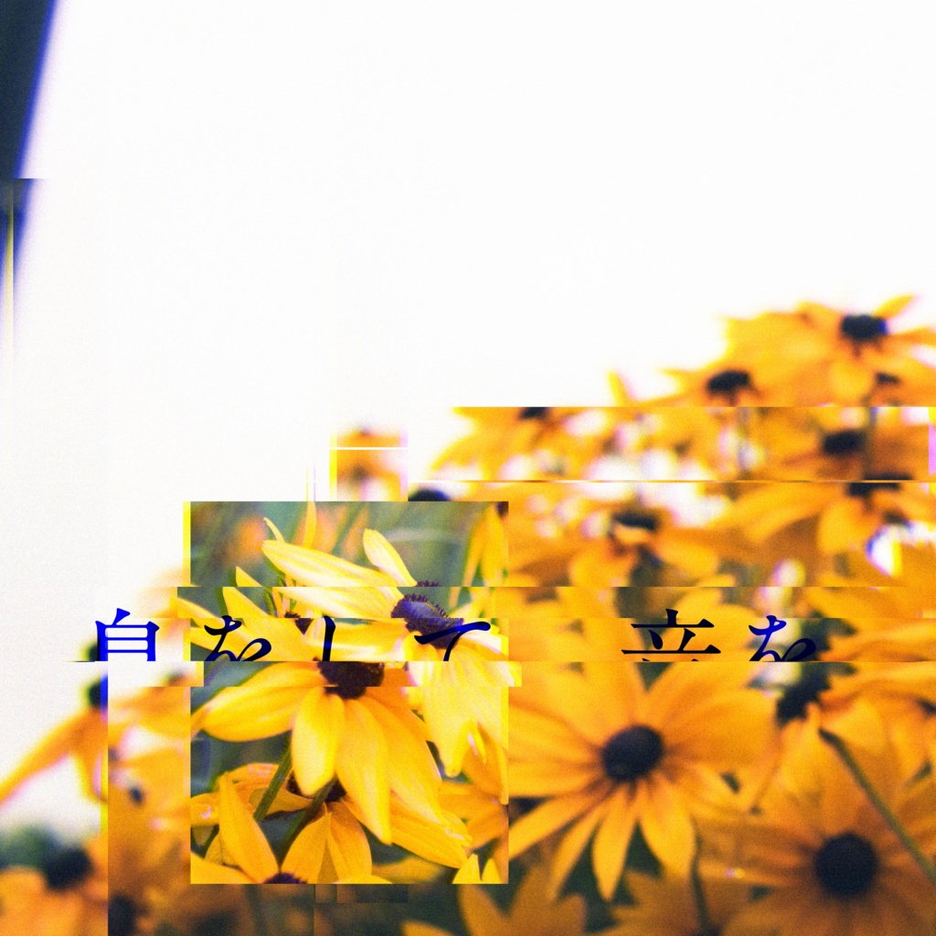 息をして。音を、歌うから。(レコード+CD+DL) - アメリカ民謡研究会