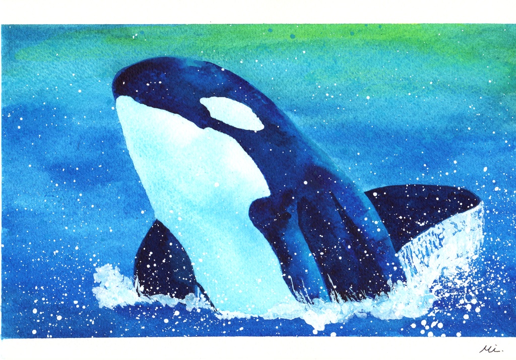 水彩原画】シャチ 227×158mm （005） - mf-artworks - BOOTH