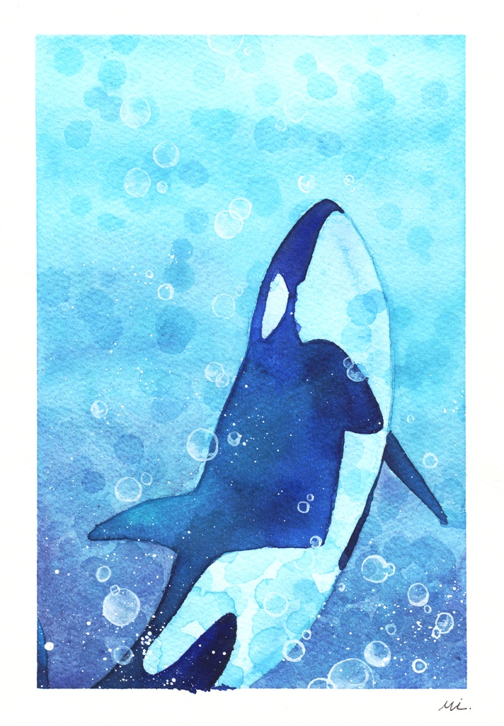 水彩原画】泡の中のシャチ 227×158mm - mf-artworks - BOOTH