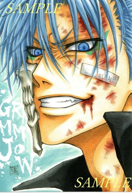 BLEACH BLEACH フォト風カード グリムジョー THEキャラ インスタント