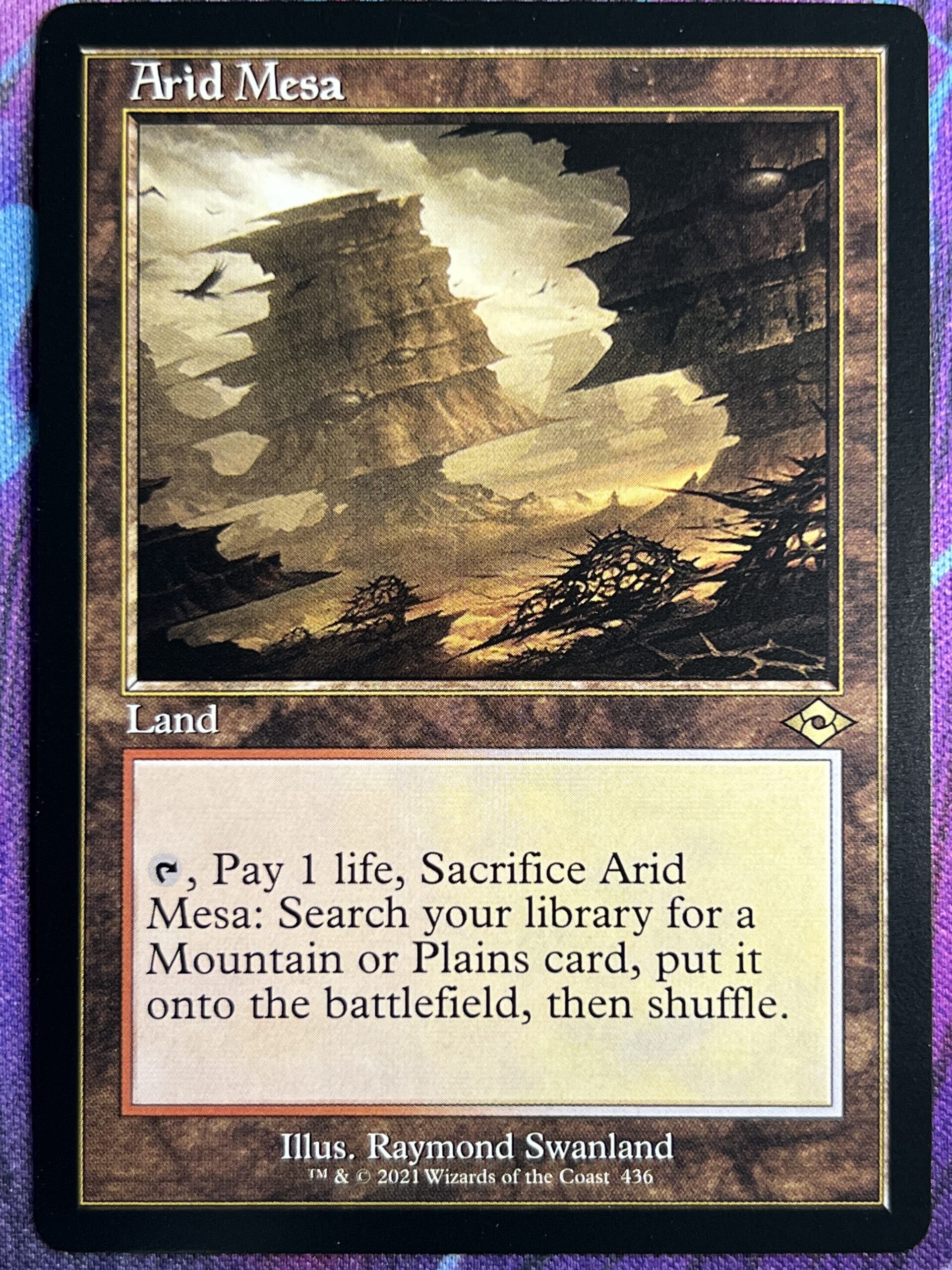 乾燥台地_FOIL_EXP乾燥台地_FOIL_EXP EX](FOIL)(旧枠仕様)乾燥