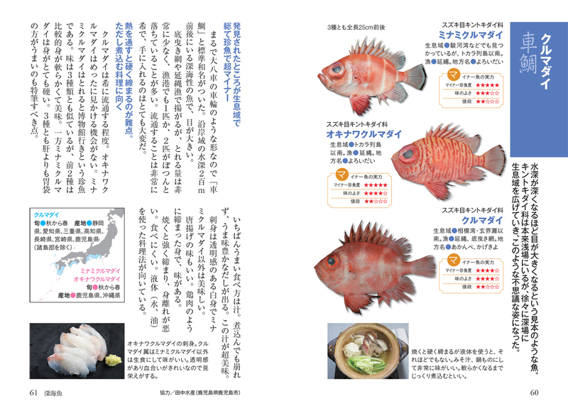 マイナビ文庫】美味しいマイナー魚図鑑ミニ | マイナビブックス